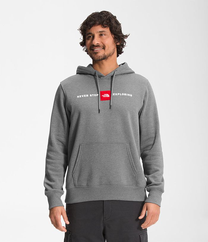 Sudadera Con Capucha The North Face Hombre Red’S Pullover - Colombia HFVLTU945 - Gris